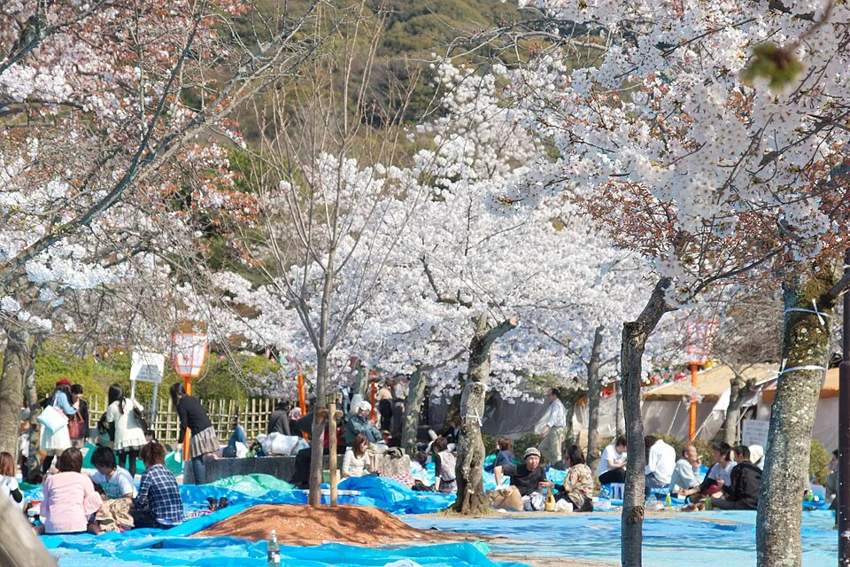 Kyoto Bucket List: 25 Amazing Things to Do (2026)
